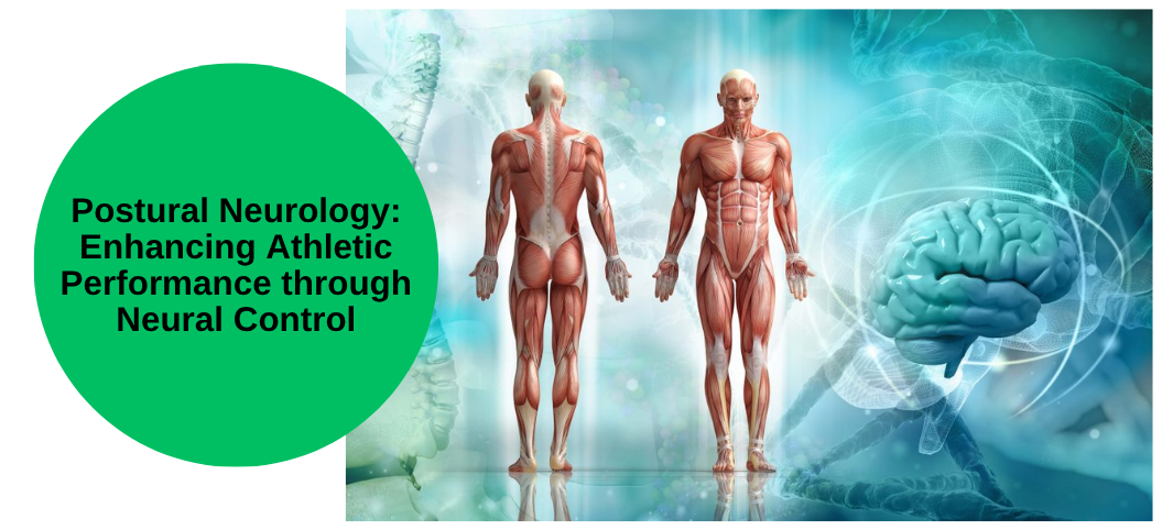 Postural Neurology: Enhancing Athletic Performance through Neural Control